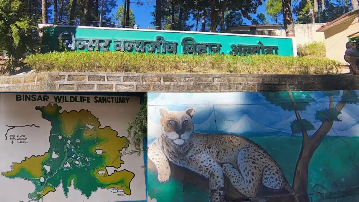 Binsar Wildlife Sanctuary, Almora