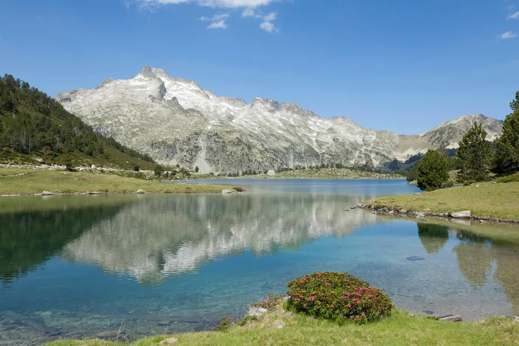 Gandhi Sarovar (Chorabari Tal), Kedarnath