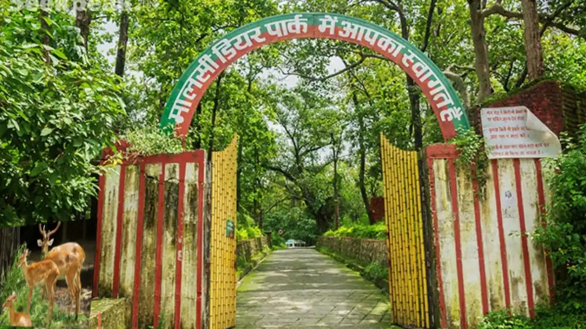 Malsi Deer Park, Dehradun
