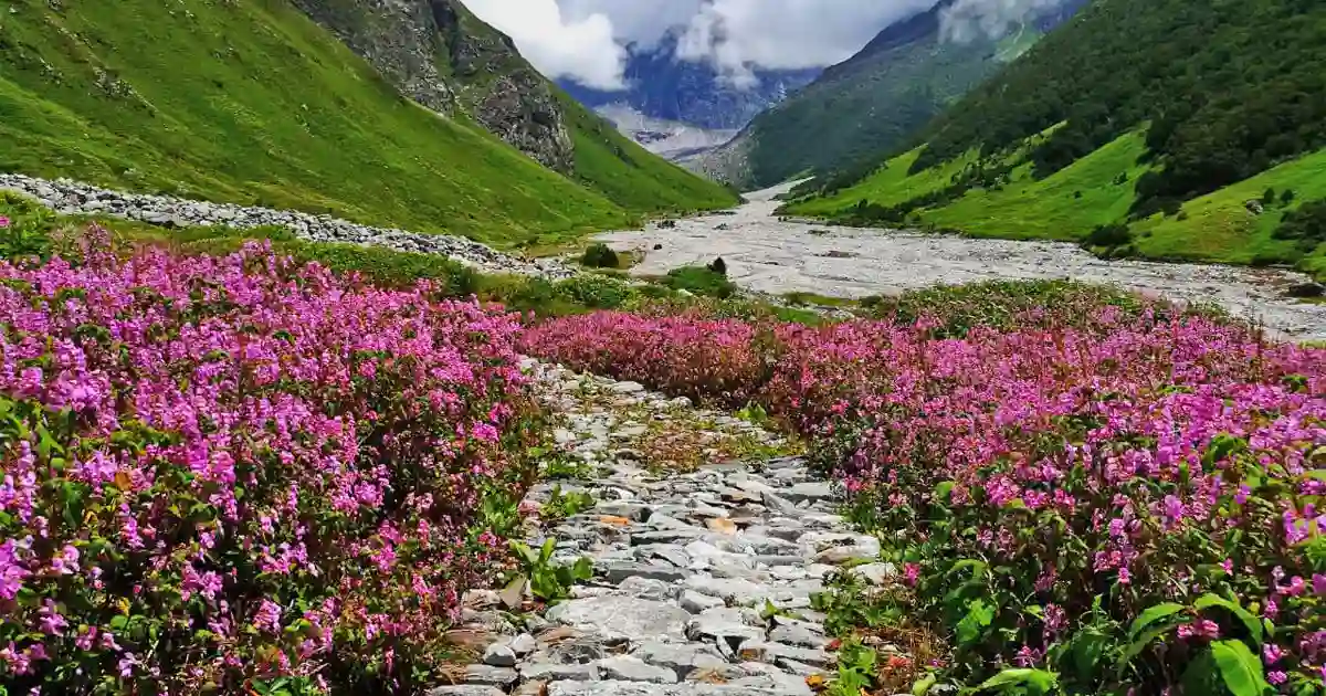 Nanda Devi National Park, Chamoli Garhwal
