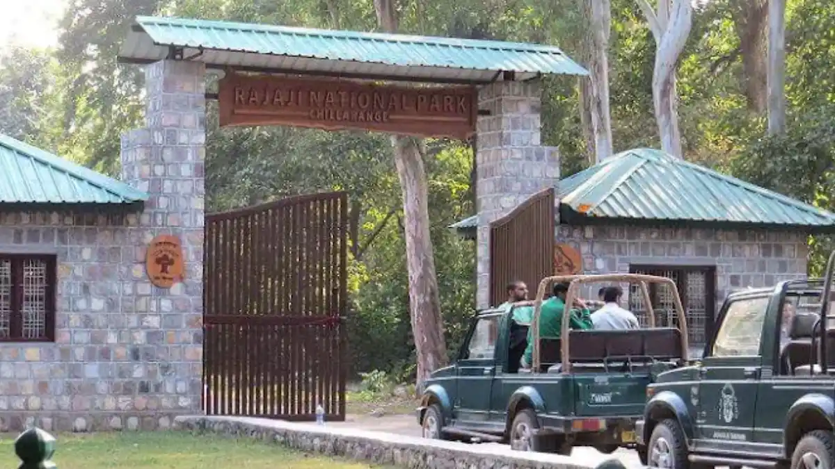 Rajaji National Park near Haridwar