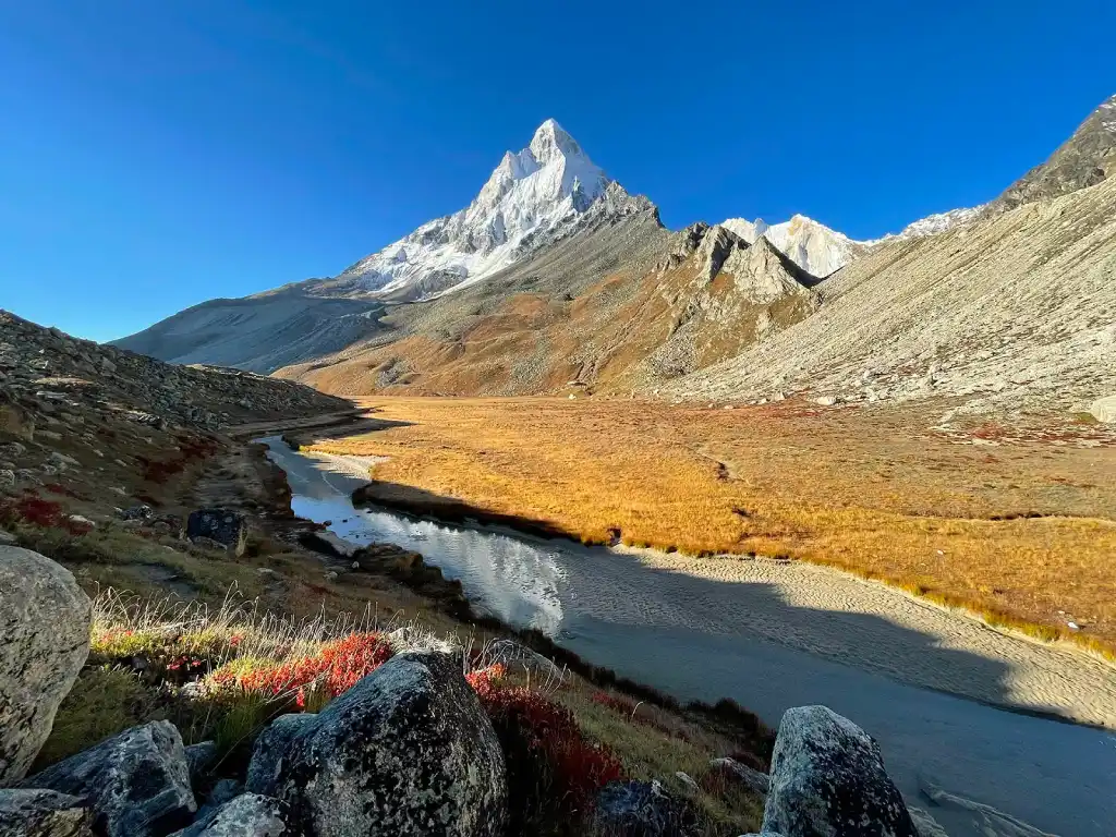 Tapovan, Gangotri