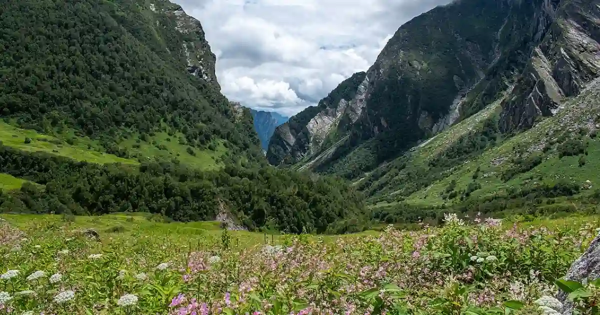 Valley of Flowers National Park, Chamoli Garhwal