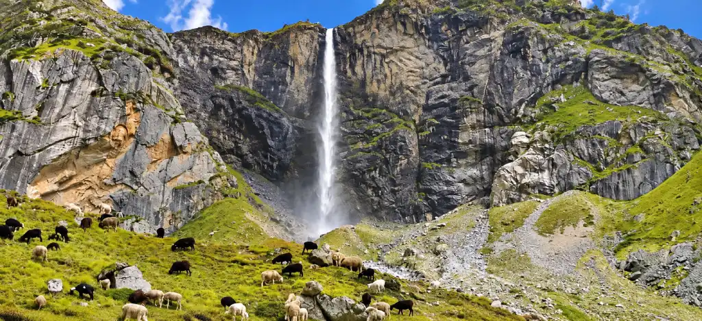 Vasudhara Falls, Badrinath